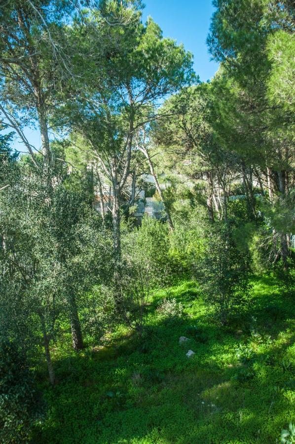 Caper Villa Santa Caterina  Exteriér fotografie